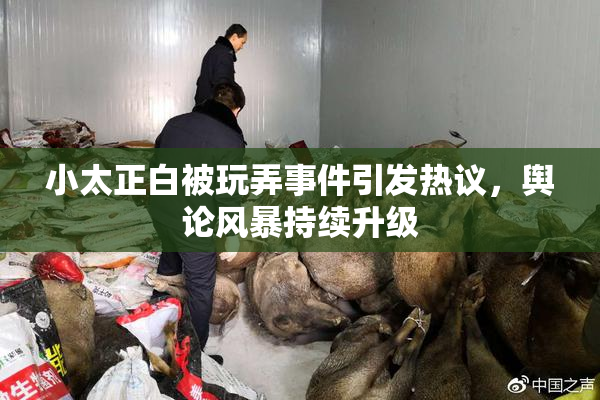 小太正白被玩弄事件引发热议，舆论风暴持续升级