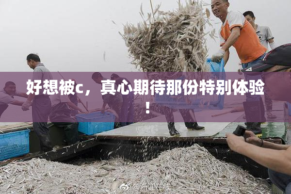 好想被c，真心期待那份特别体验！