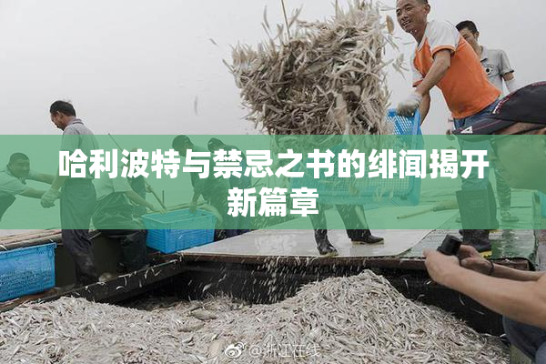 哈利波特与禁忌之书的绯闻揭开新篇章