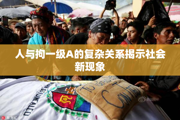 人与拘一级A的复杂关系揭示社会新现象