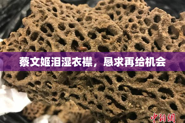 蔡文姬泪湿衣襟，恳求再给机会