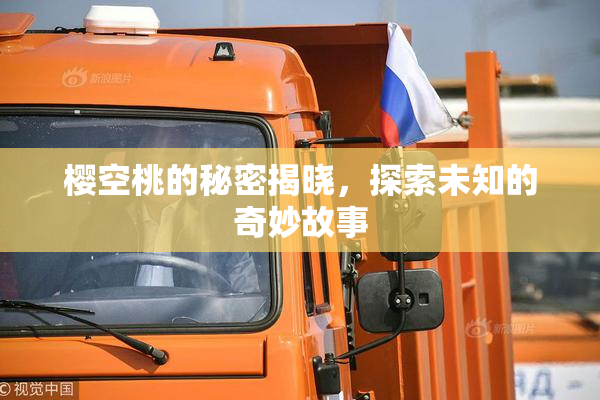 樱空桃的秘密揭晓，探索未知的奇妙故事