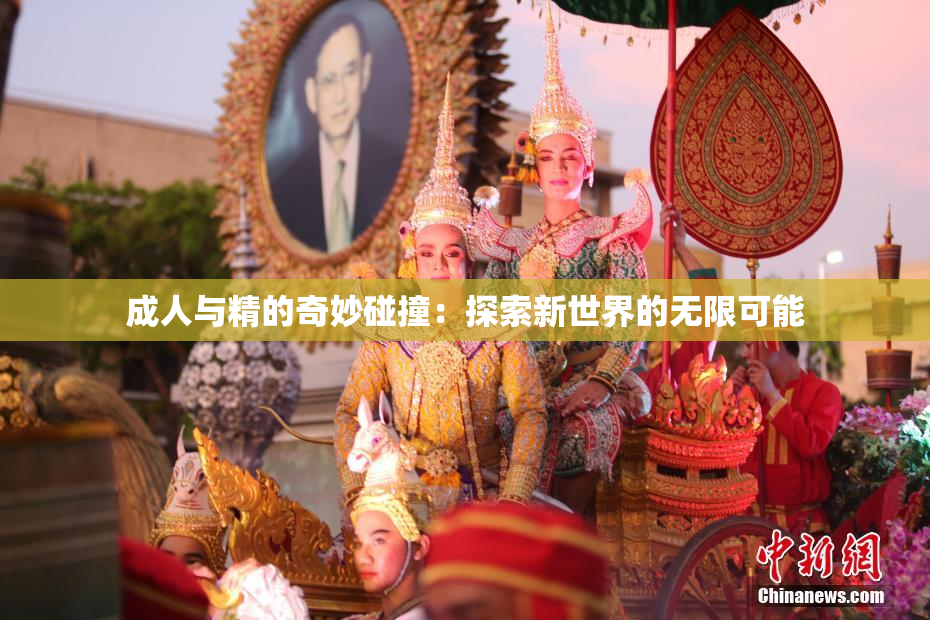 成人与精的奇妙碰撞：探索新世界的无限可能