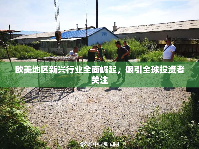欧美地区新兴行业全面崛起，吸引全球投资者关注