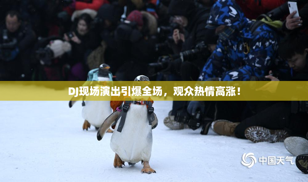 DJ现场演出引爆全场，观众热情高涨！