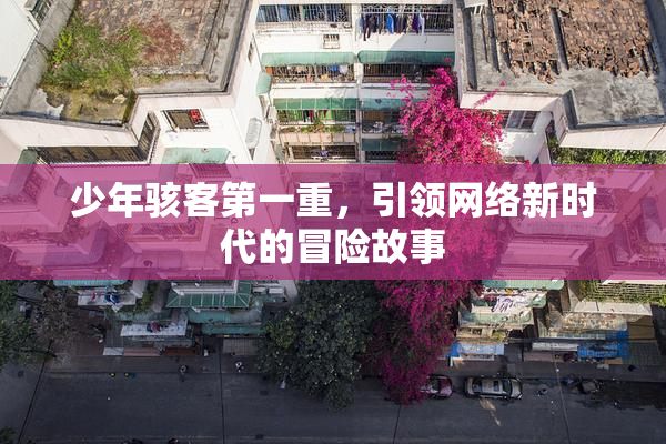 少年骇客第一重，引领网络新时代的冒险故事