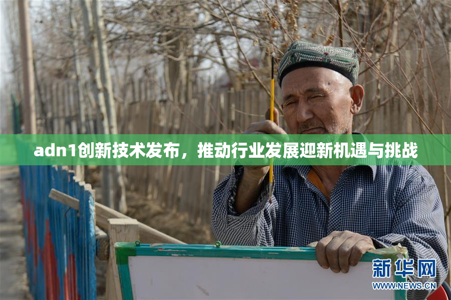 adn1创新技术发布，推动行业发展迎新机遇与挑战