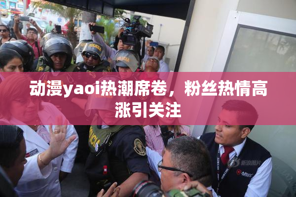 动漫yaoi热潮席卷，粉丝热情高涨引关注