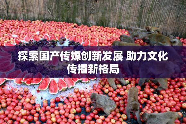 探索国产传媒创新发展 助力文化传播新格局