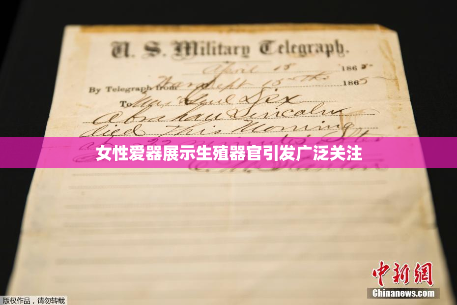 女性爱器展示生殖器官引发广泛关注