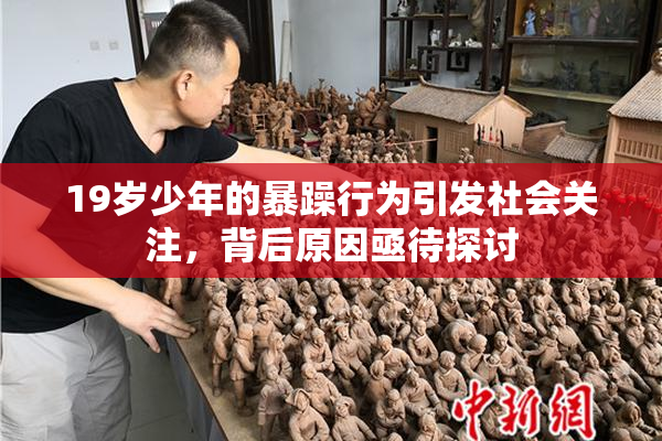 19岁少年的暴躁行为引发社会关注，背后原因亟待探讨