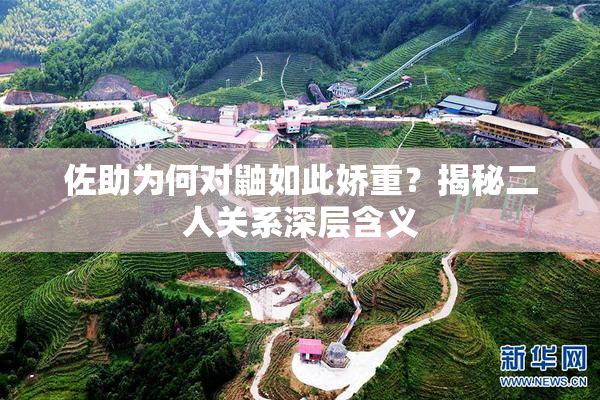佐助为何对鼬如此娇重？揭秘二人关系深层含义