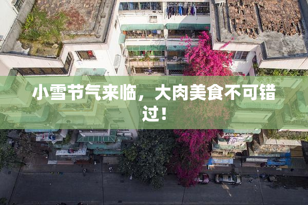 小雪节气来临，大肉美食不可错过！