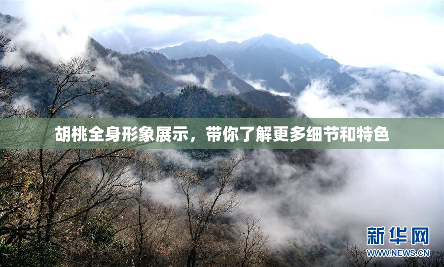 胡桃全身形象展示，带你了解更多细节和特色