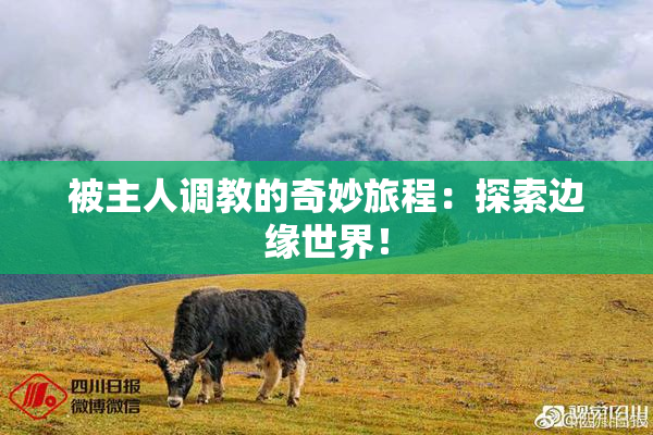 被主人调教的奇妙旅程：探索边缘世界！