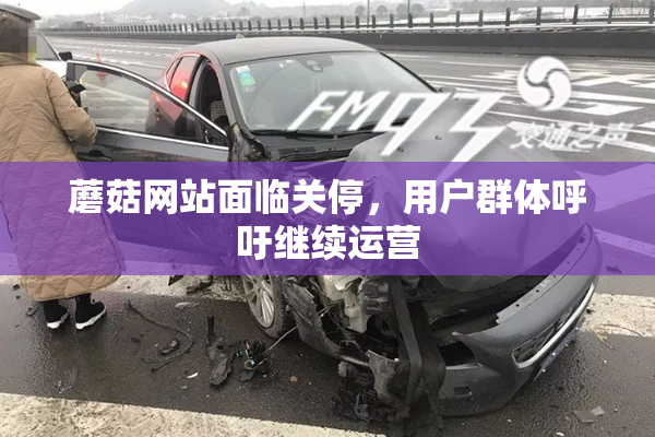 蘑菇网站面临关停，用户群体呼吁继续运营
