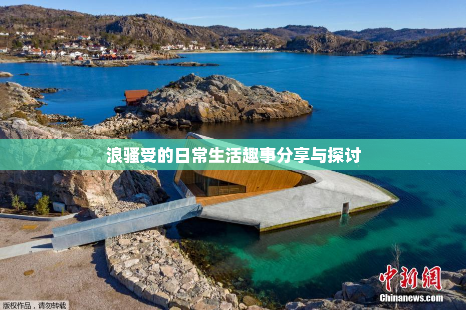 浪骚受的日常生活趣事分享与探讨