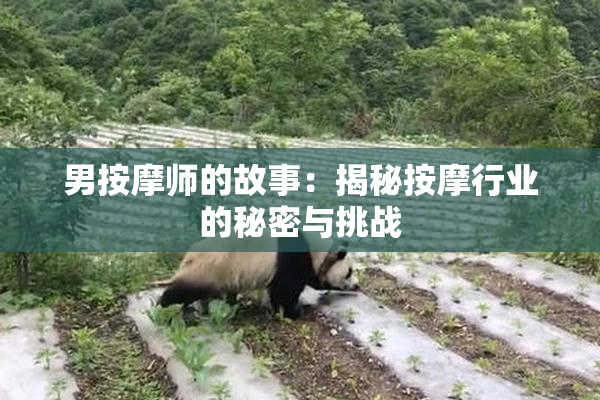 男按摩师的故事：揭秘按摩行业的秘密与挑战