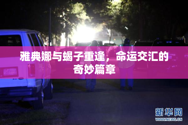 雅典娜与蝎子重逢，命运交汇的奇妙篇章