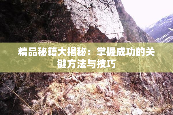 精品秘籍大揭秘：掌握成功的关键方法与技巧