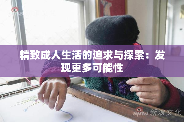 精致成人生活的追求与探索：发现更多可能性