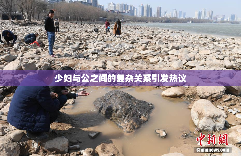 少妇与公之间的复杂关系引发热议