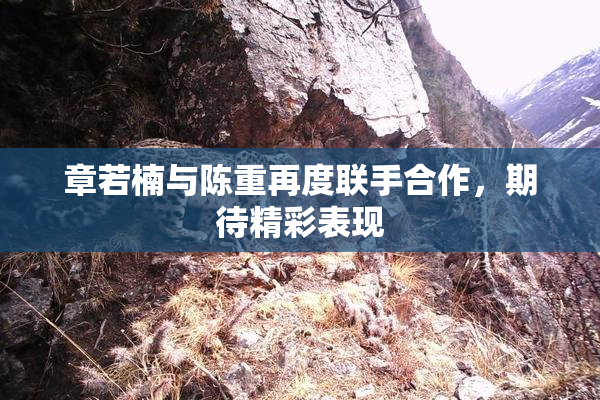 章若楠与陈重再度联手合作，期待精彩表现