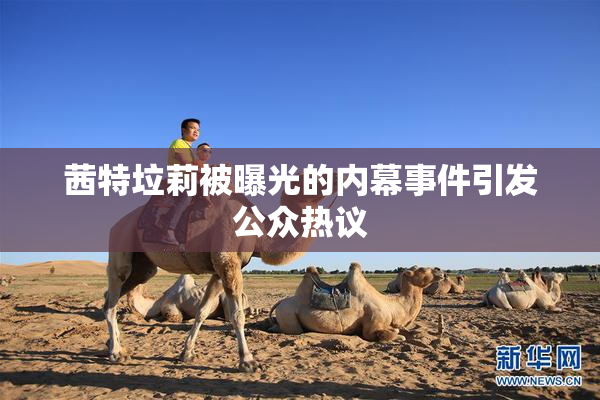 茜特垃莉被曝光的内幕事件引发公众热议