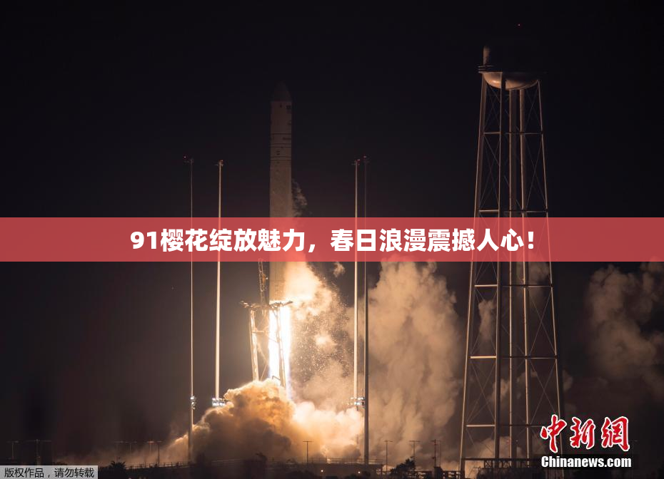 91樱花绽放魅力，春日浪漫震撼人心！