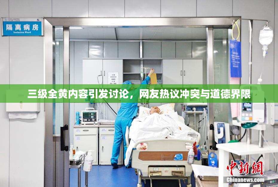 三级全黄内容引发讨论，网友热议冲突与道德界限