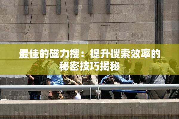 最佳的磁力搜：提升搜索效率的秘密技巧揭秘