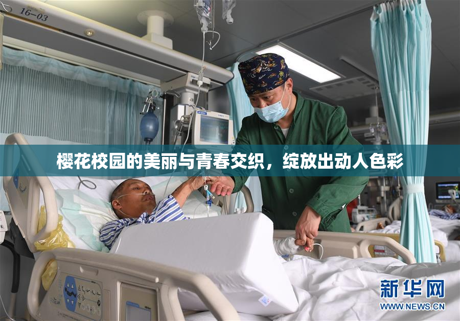 樱花校园的美丽与青春交织，绽放出动人色彩