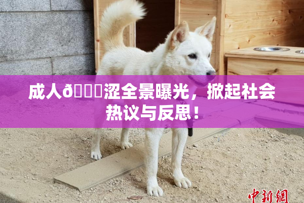 成人🔞涩全景曝光，掀起社会热议与反思！