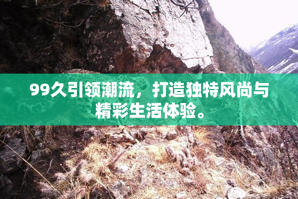 99久引领潮流，打造独特风尚与精彩生活体验。