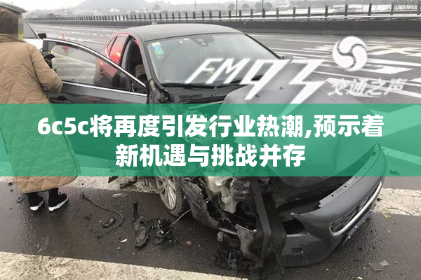 6c5c将再度引发行业热潮,预示着新机遇与挑战并存