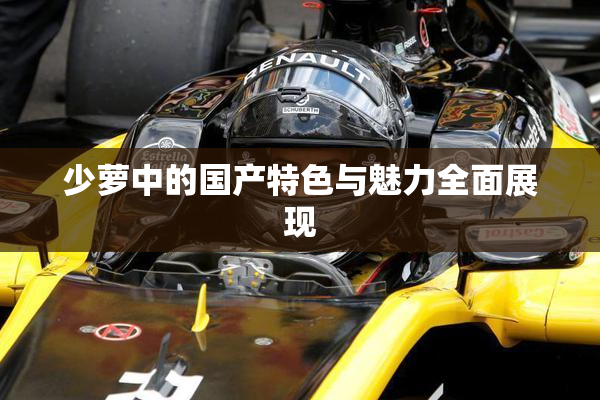少萝中的国产特色与魅力全面展现