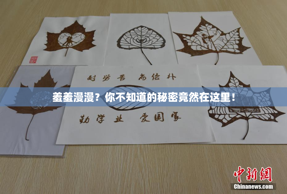 羞羞漫漫？你不知道的秘密竟然在这里！