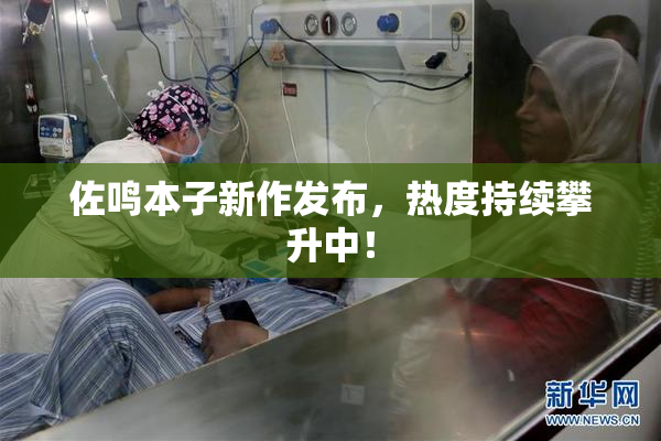佐鸣本子新作发布，热度持续攀升中！
