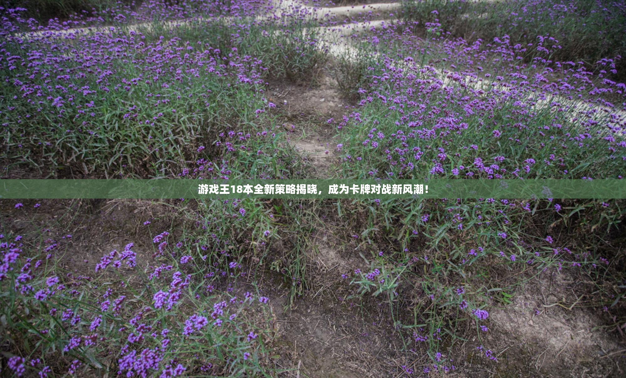游戏王18本全新策略揭晓，成为卡牌对战新风潮！
