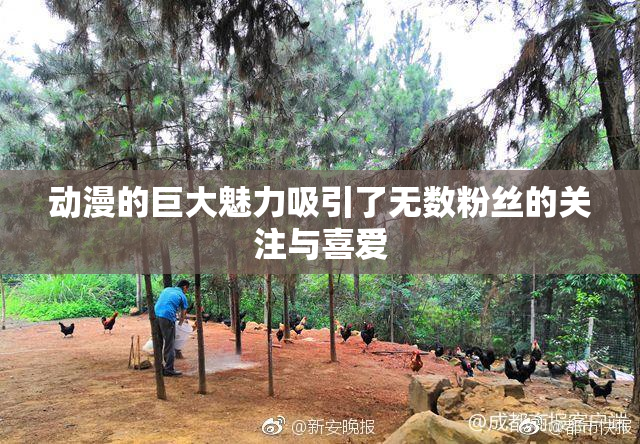 动漫的巨大魅力吸引了无数粉丝的关注与喜爱