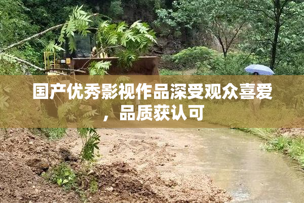国产优秀影视作品深受观众喜爱，品质获认可