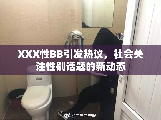 XXX性BB引发热议，社会关注性别话题的新动态