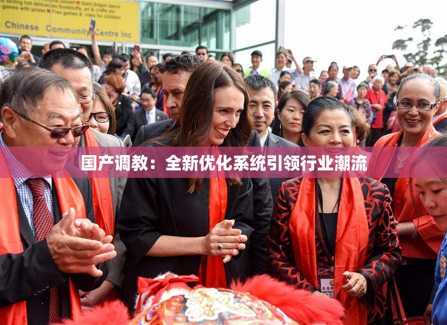 国产调教：全新优化系统引领行业潮流