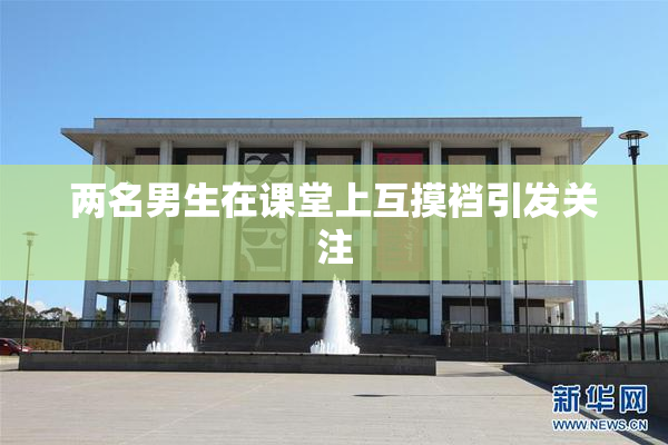 两名男生在课堂上互摸裆引发关注