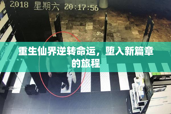 重生仙界逆转命运，堕入新篇章的旅程