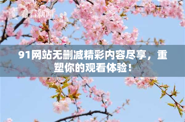 91网站无删减精彩内容尽享，重塑你的观看体验！