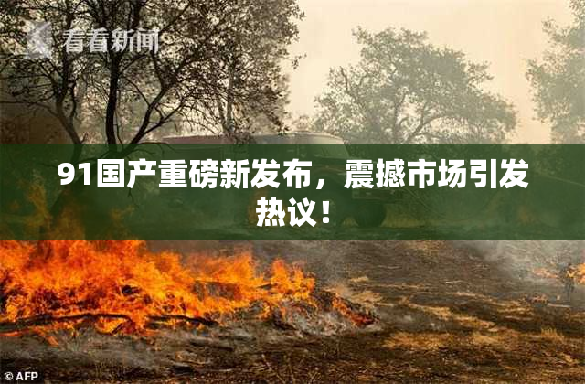 91国产重磅新发布，震撼市场引发热议！