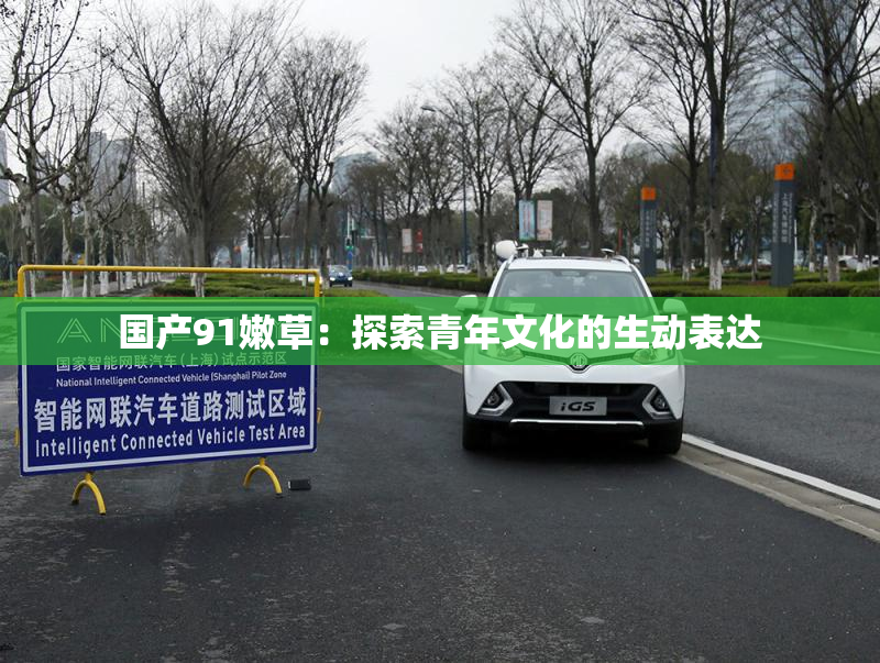 国产91嫩草：探索青年文化的生动表达