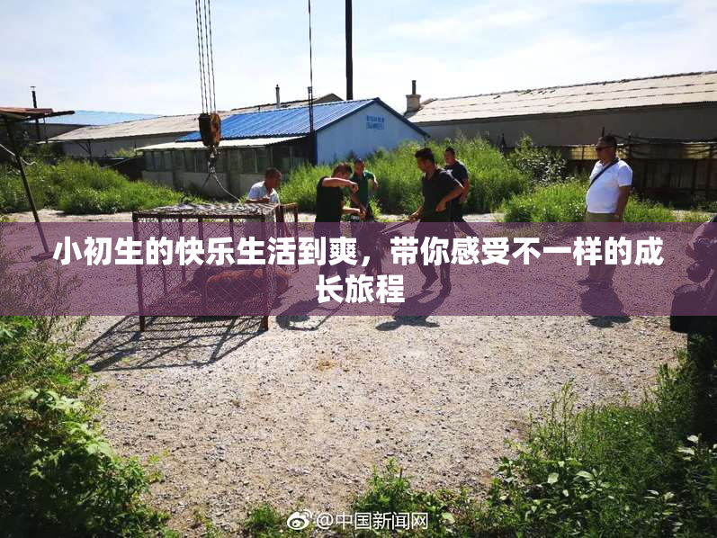 小初生的快乐生活到爽，带你感受不一样的成长旅程