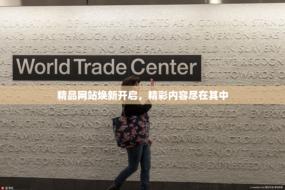 精品网站焕新开启，精彩内容尽在其中